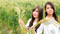 SIS 學生資訊系統